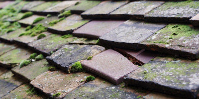 Much Wenlock roof repair costs